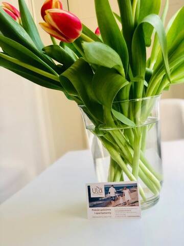 Фото номера Двухместный номер с 1 кроватью Проживание в семье Pokoje Gościnne i Apartamenty Ula г. Устроне-Морске 18